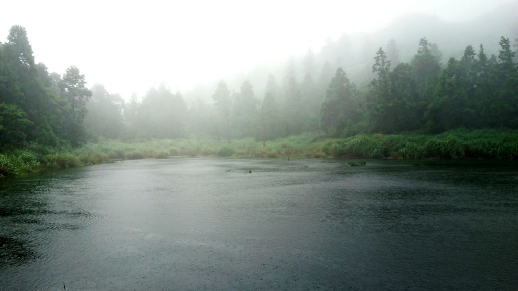 梅雨特訓~陽明山四湖連走_137565