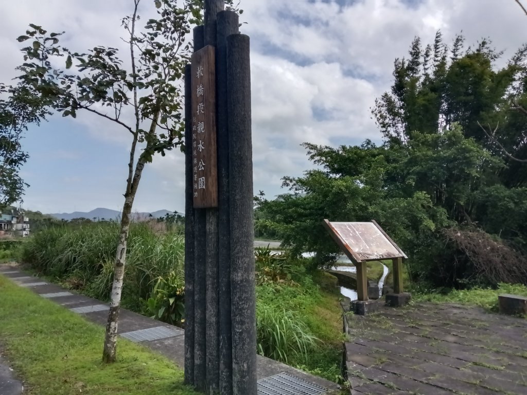 雙溪區冬陽下閃閃菅芒花_2949408