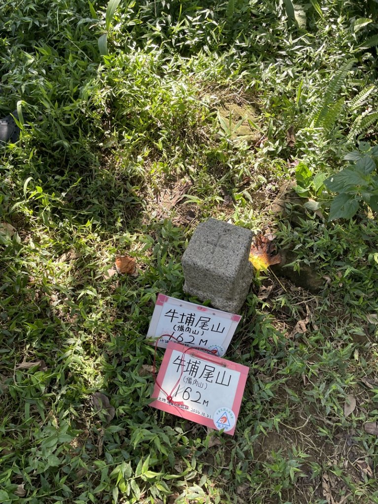 【大棟山系】百年大榕樹_2858097