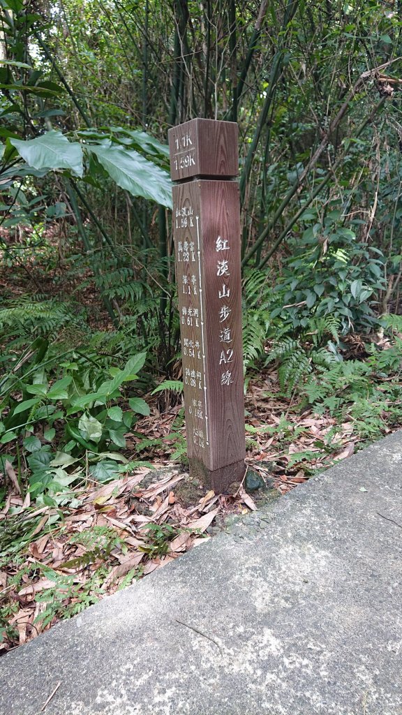 20210501紅淡山_1618278