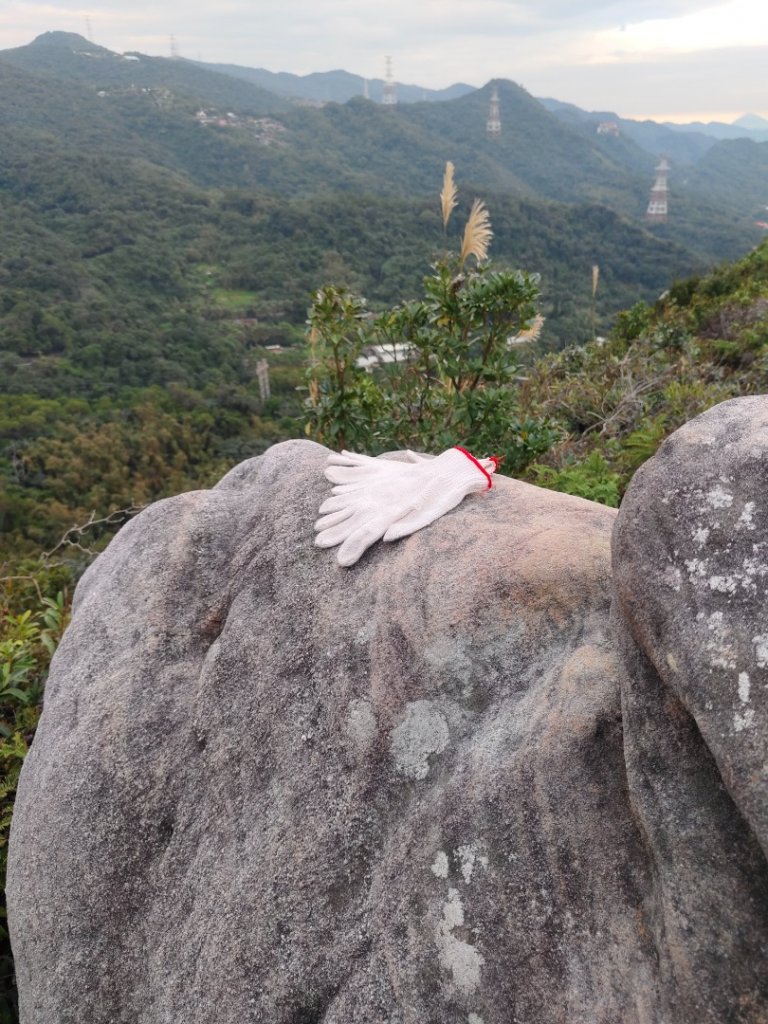 金面山親山步道_2375499