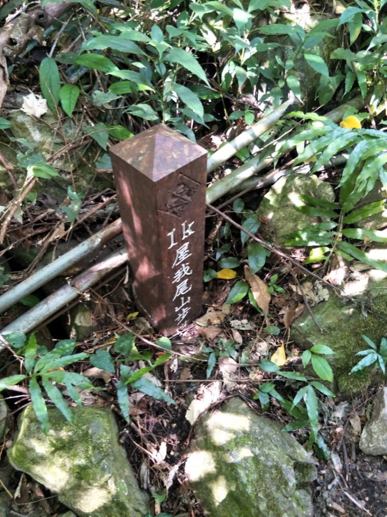 谷關七雄：屋東縱走-屋我尾山-麗陽上_1491981