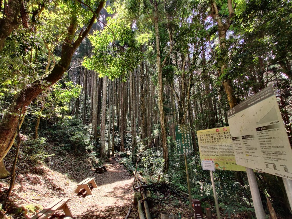 2020.05.02加里山 鹿場登山口來封面圖