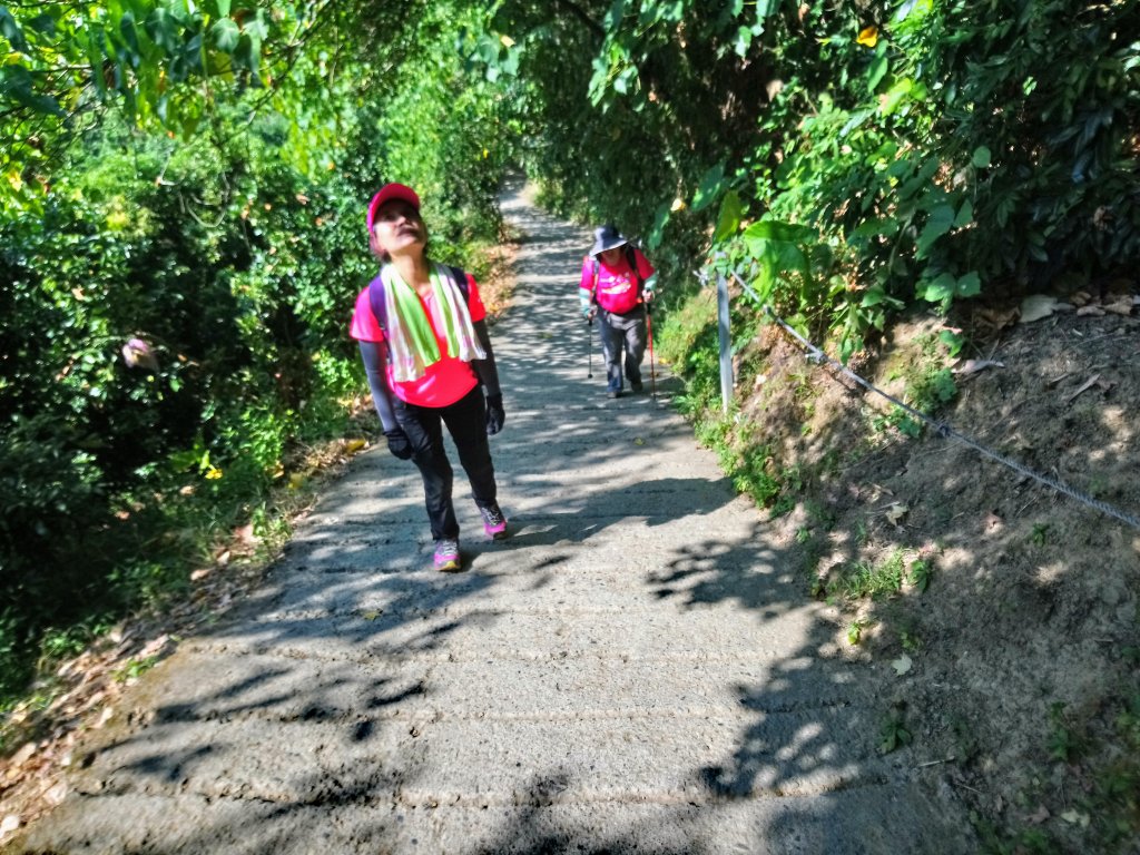 20181027山汀山_444608