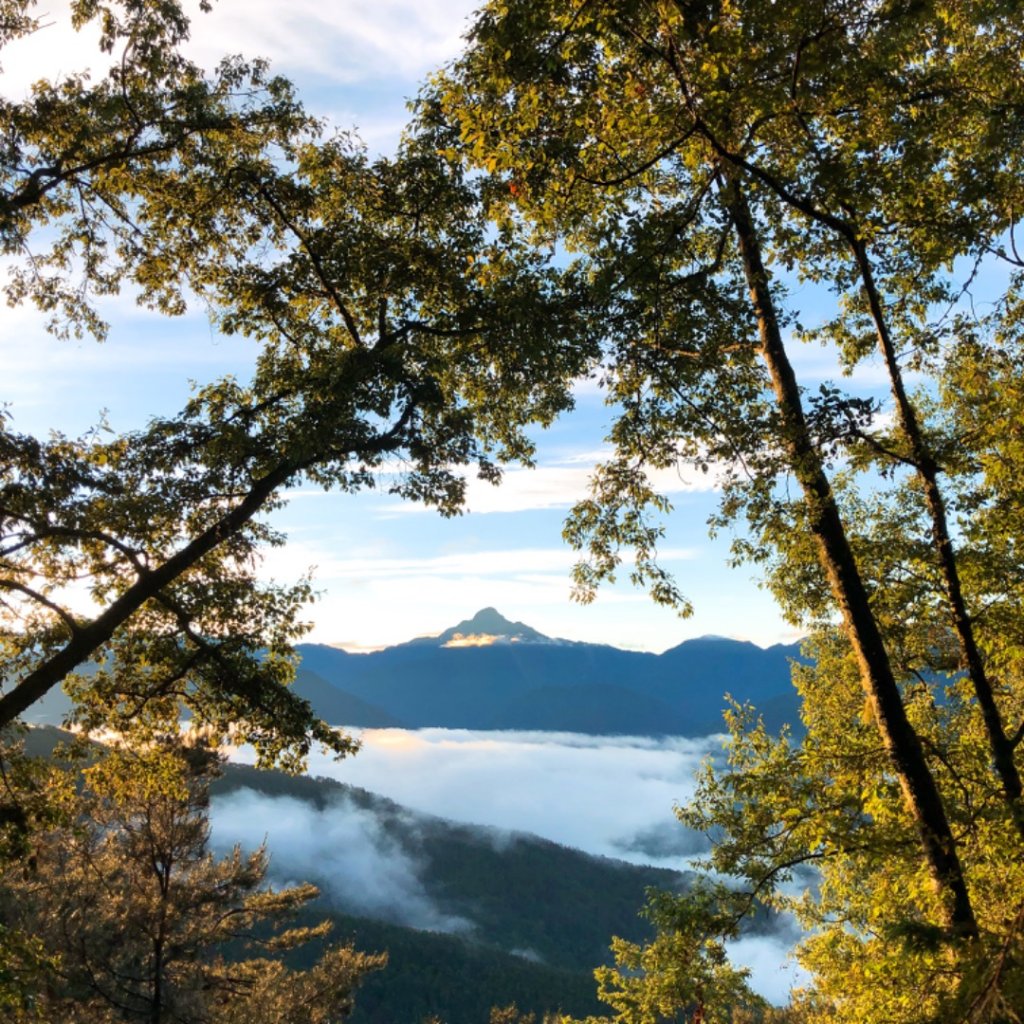 志佳陽大山封面圖