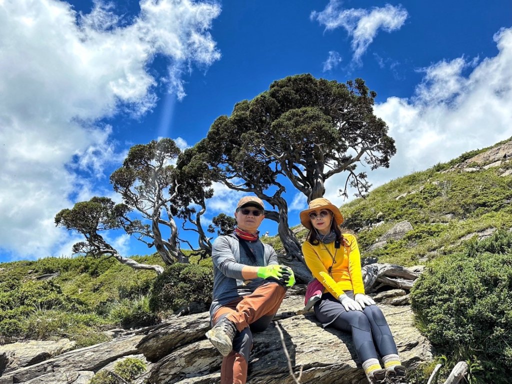 合歡北峰 盛夏之美_2544910