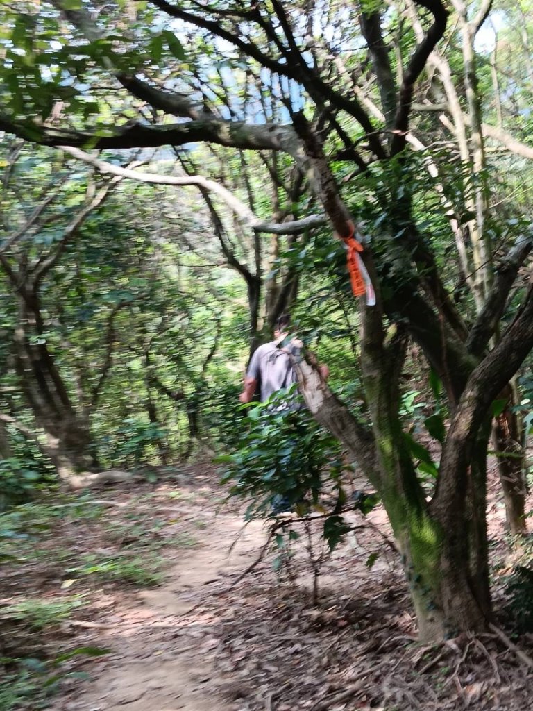 瑞芳小錐麓（劍龍绫_2790103