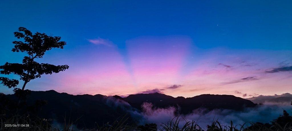 跟著雲海達人山友追雲趣 #草莓月亮 #月圓雲海 #霞光 #日出雲海 #茶園 6/11_2808766