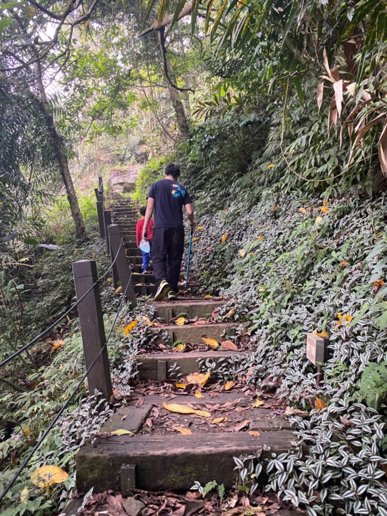 2020425貓仔們NO13小百岳崁頭山_934127