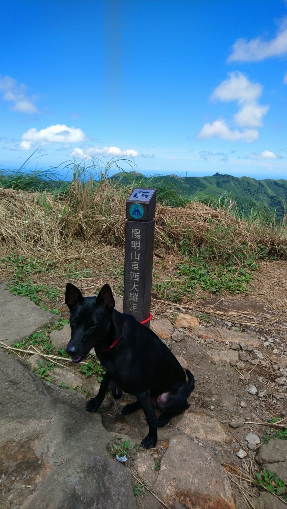 陽明山(七星系列)_1052977