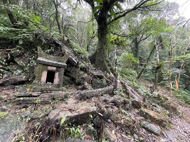 武山坑炭窯_2990747