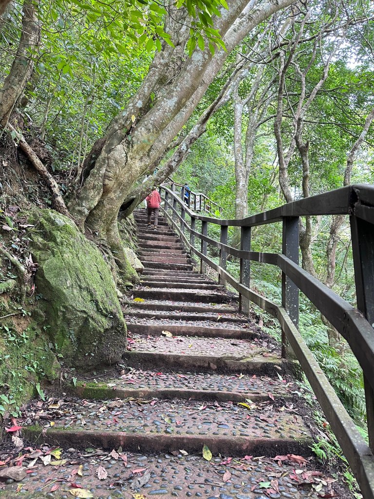 蚋仔溪生態步道走入滿月圓森林_2498111