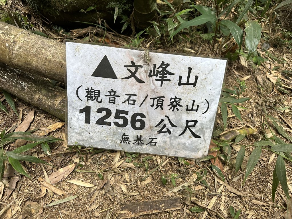 竹崎十三連峰 (阿里山四大天王越野賽路線)_1932740