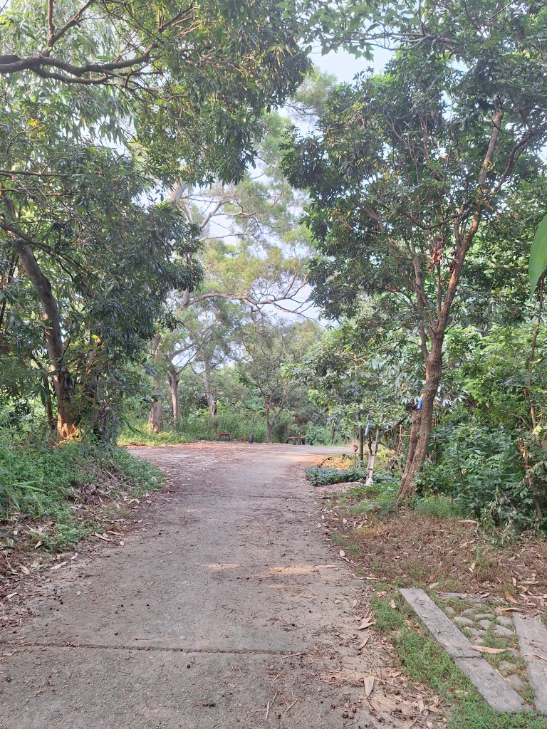 桃源里森林步道+龍鳳谷步道+坑子內山20250906_2880243