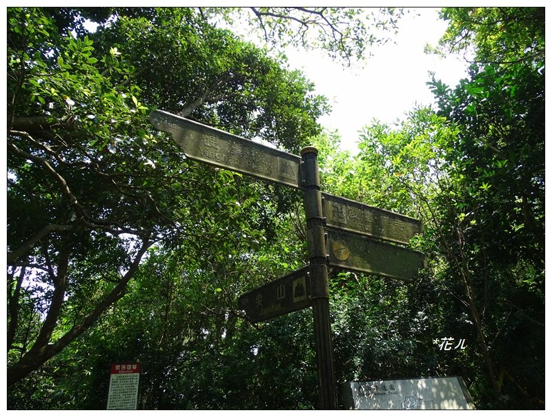 觀音山/尖山(小百岳)_657429