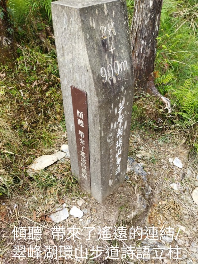 翠峰湖環山步道O行_1752313