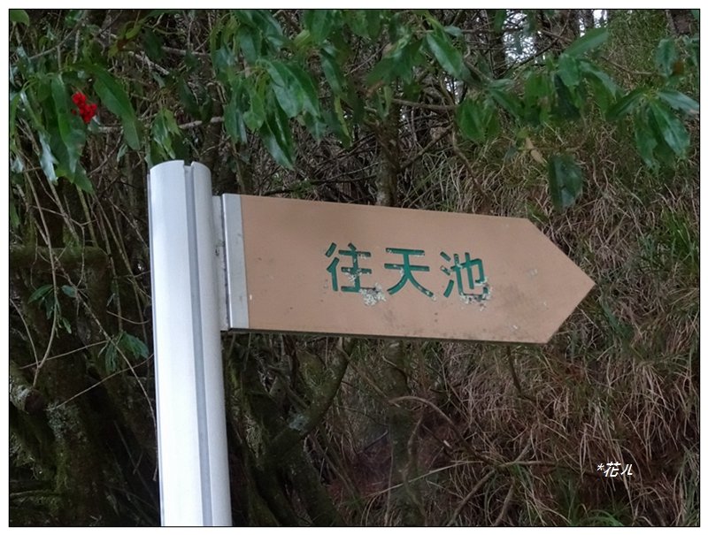 小雪山天池步道_1632214