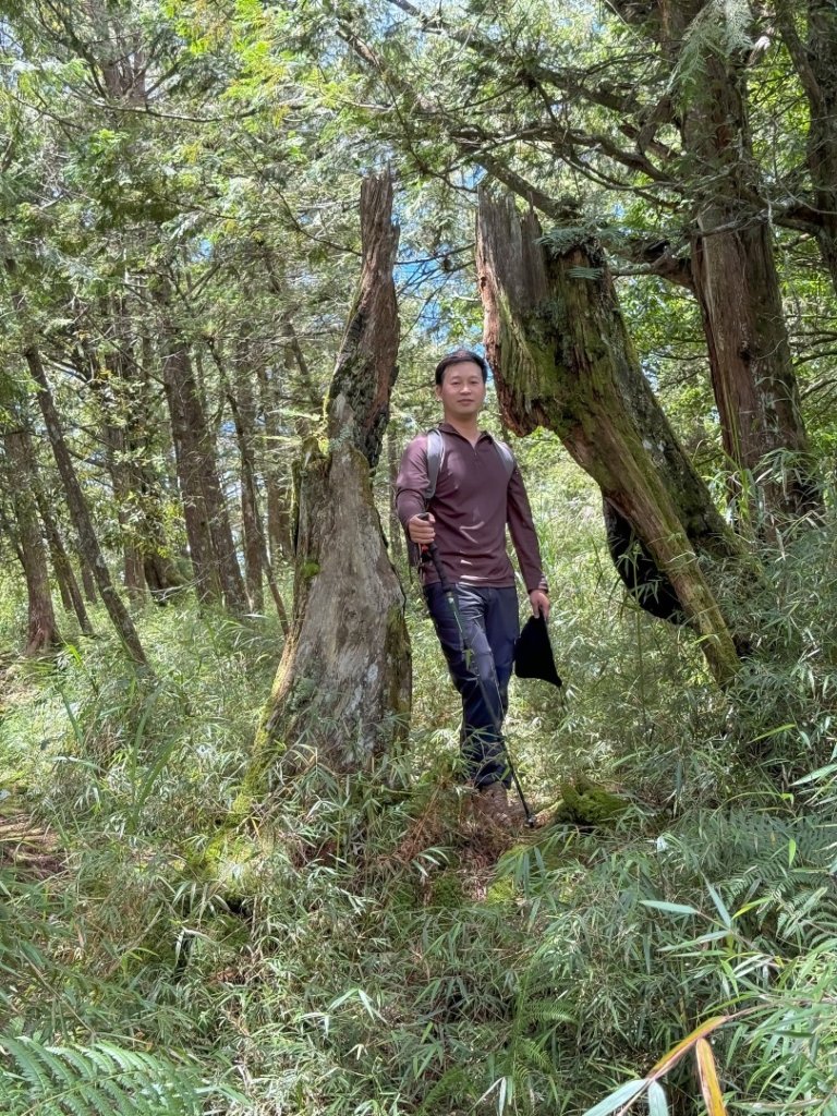 鹿屈山-杉林溪賞花趣_2816476