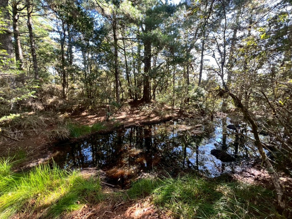 1141108-09桃山單攻_2935983