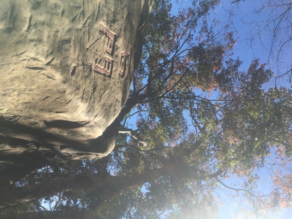 馬那邦山楓紅、細道邦山石壁_1963174