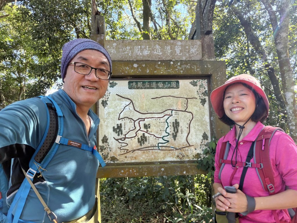 鳴鳳山-錫隘古道大O繞-20260125_2991410