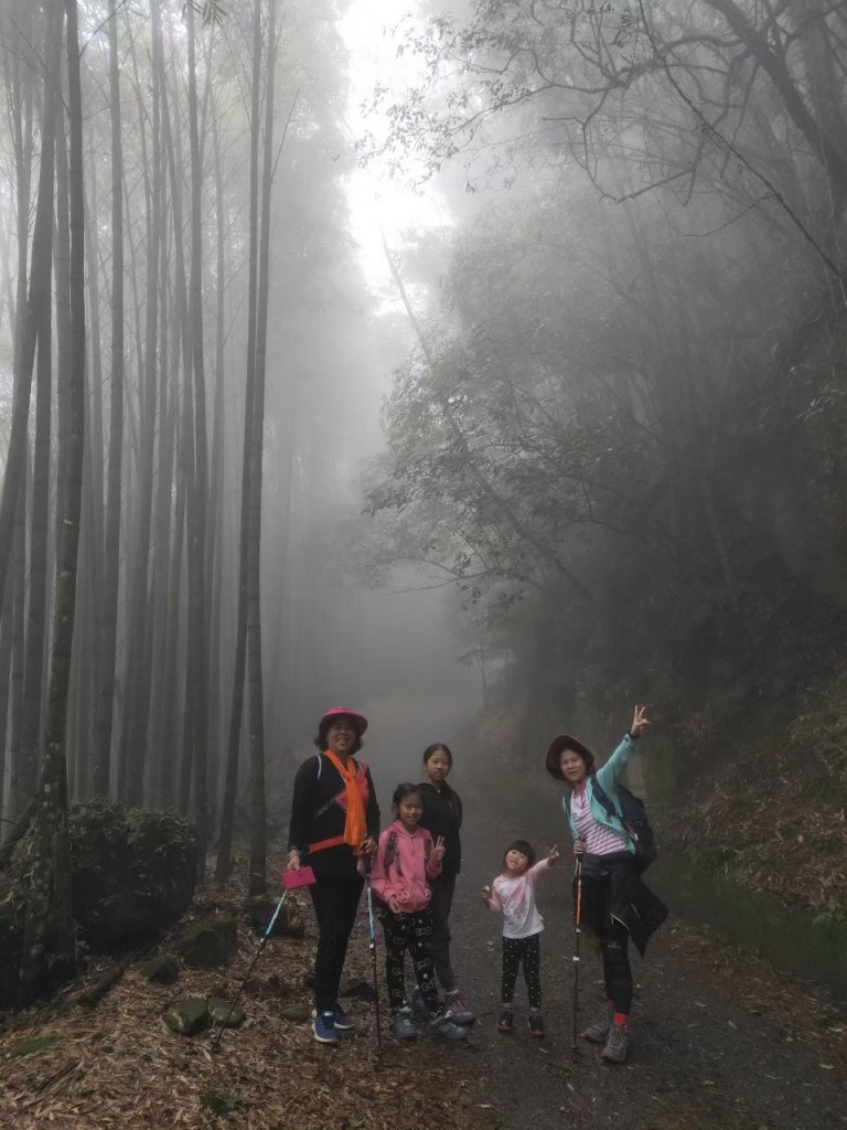 小百岳(60)-奮起湖大凍山-20200412~【2020全家總動員~28分之11】_1716506