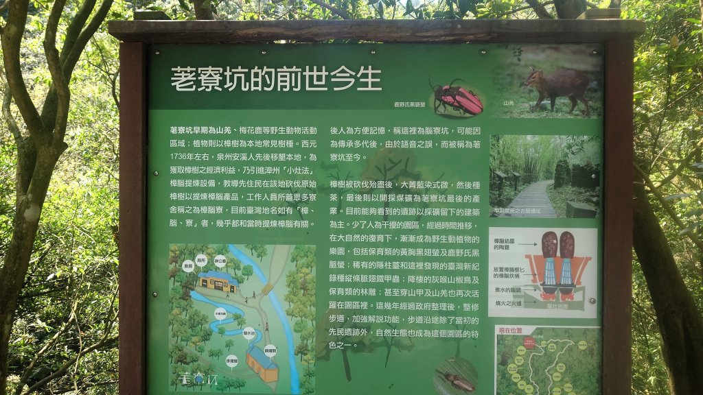 春天鮮綠的呢喃基隆荖寮坑古道上望古山登五分山O型_2747292