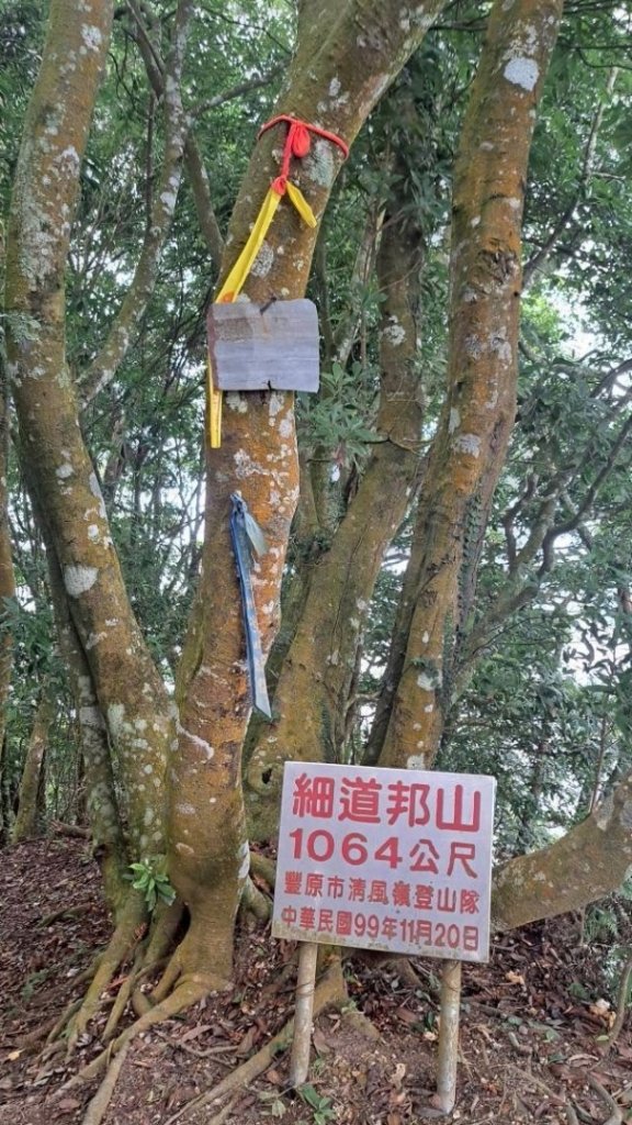 苗栗/馬那細道邦山-烏嘎彥竹林-水雲三星-鳥嘴山_2927017