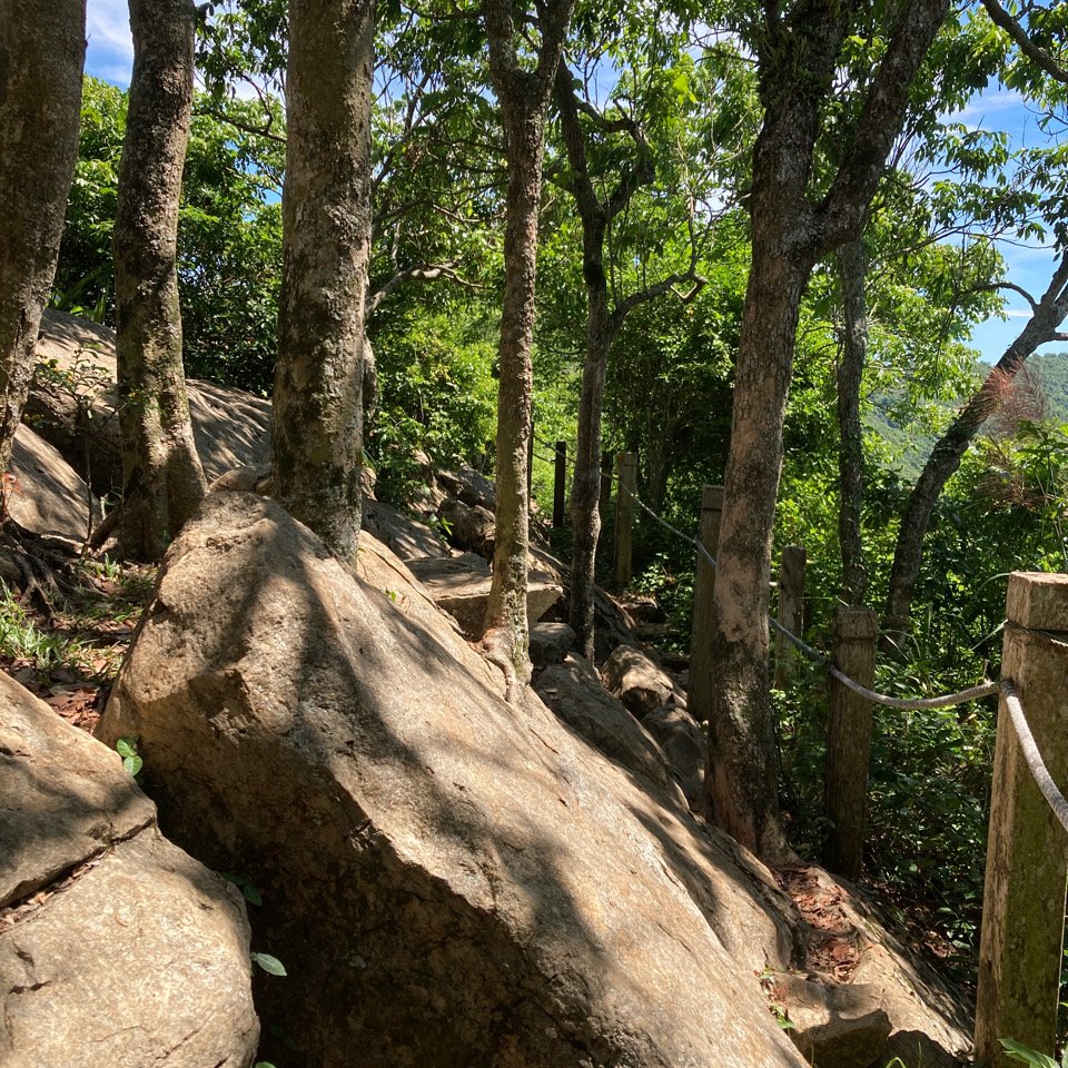 王爺崙山 - 龍麟山O型步道_1028263