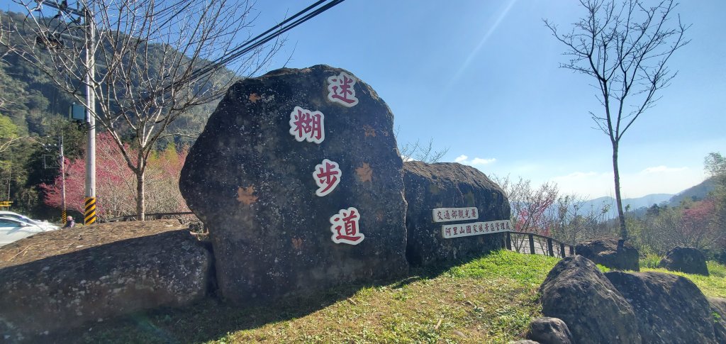 2025-01-30迷糊步道_2704430