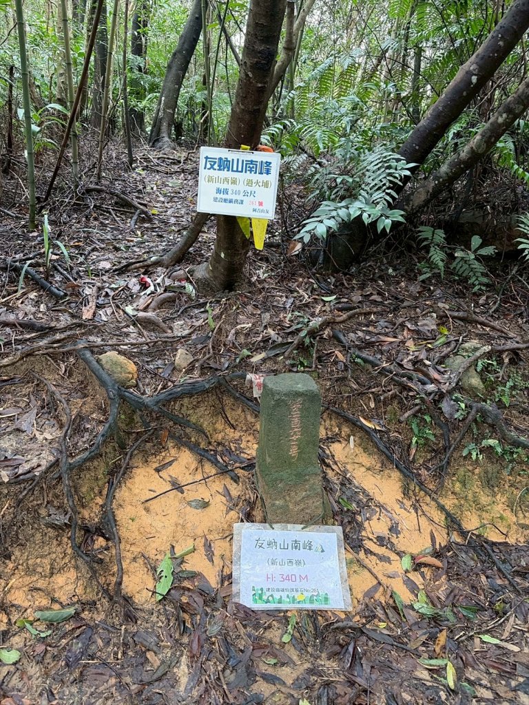 新北 汐止 柯子林橋-柯子林天然泳池-友蚋山南峰-友蚋山-新山-夢湖-柯子林橋_2988378