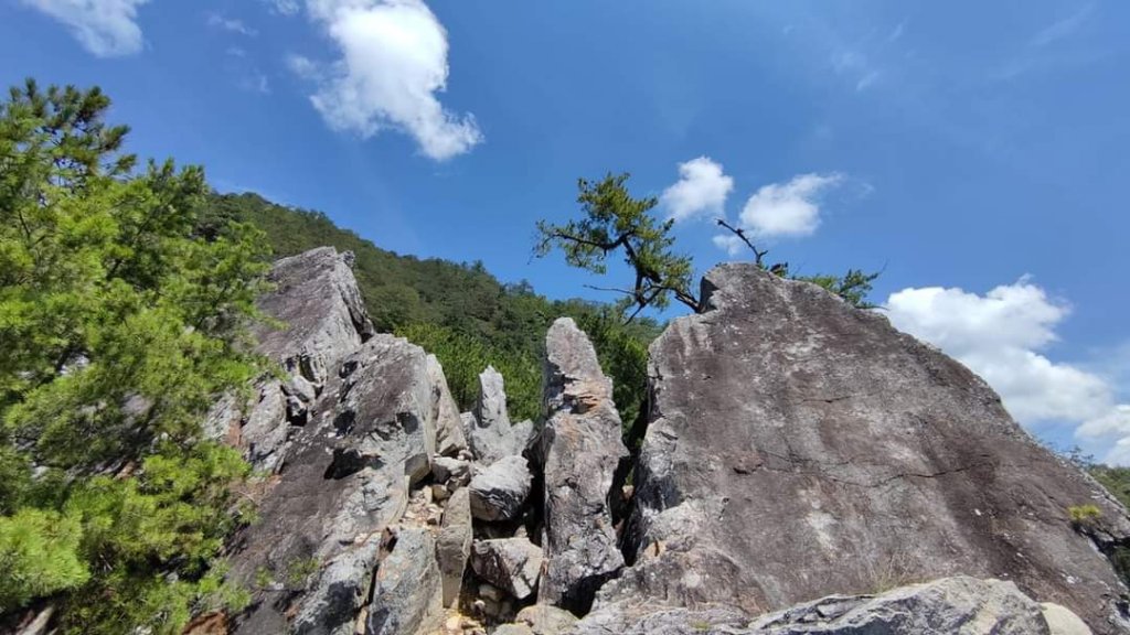 東卯山東南稜原路往返（德芙蘭步道小o繞）尋找失落的石觀音封面圖