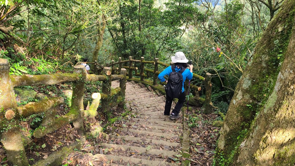 2021-0215 二格山櫻花步道_1270682