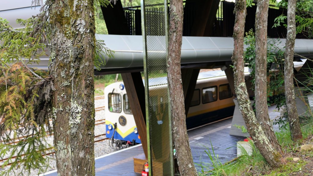 阿里山森遊區-祝山,對高岳步道_2536996