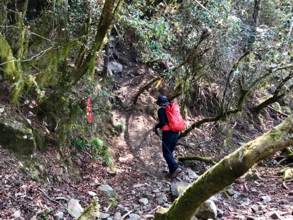 石山 石山引水道_551382