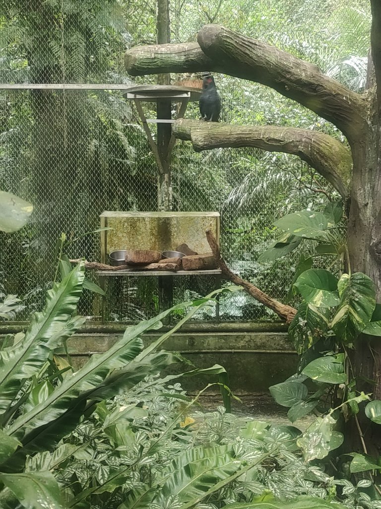 台北動物園_2664027