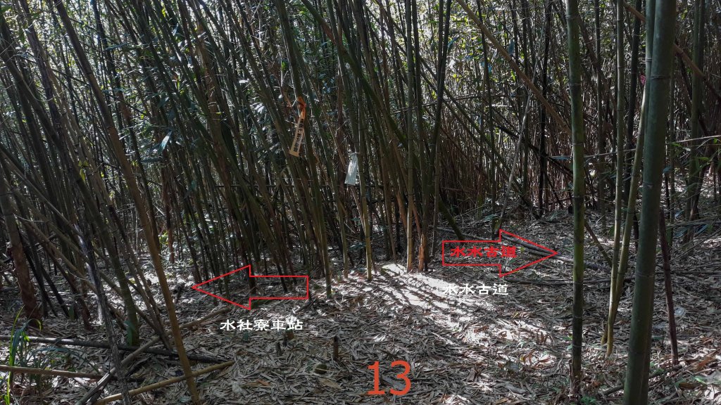 步道巡訪員│四大天王山步道二月巡訪日誌_820773