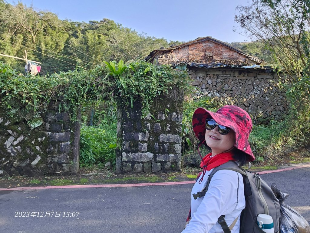 桃源谷賞芒賞鷹和牛說說話_2369633