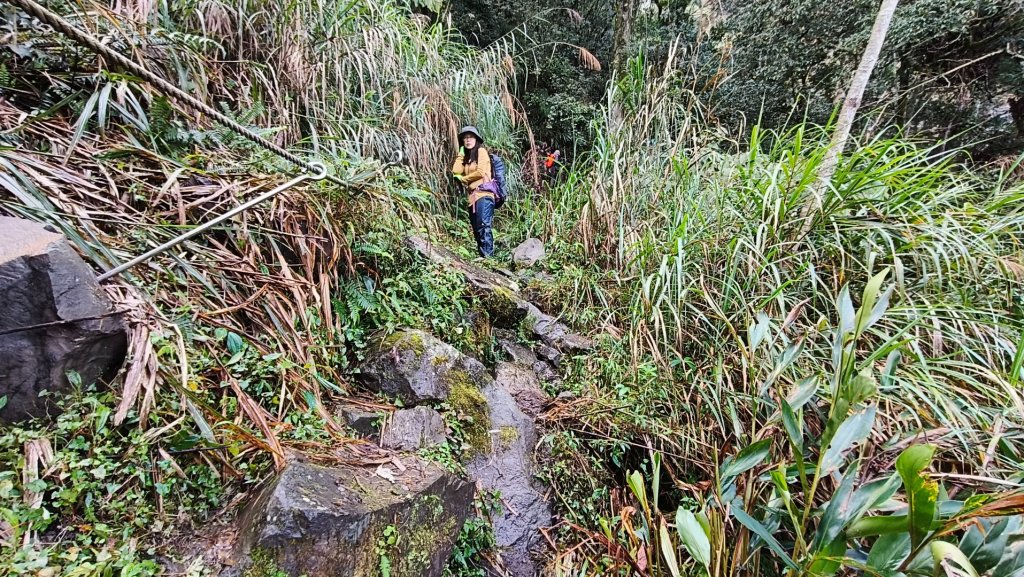 神阿縱走~台灣難抵極~大塔山_2971406