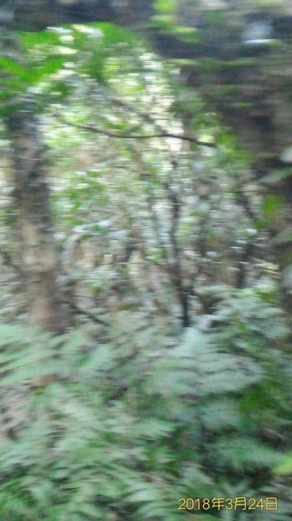 雪山尾稜大縱走~全長23公里封面圖