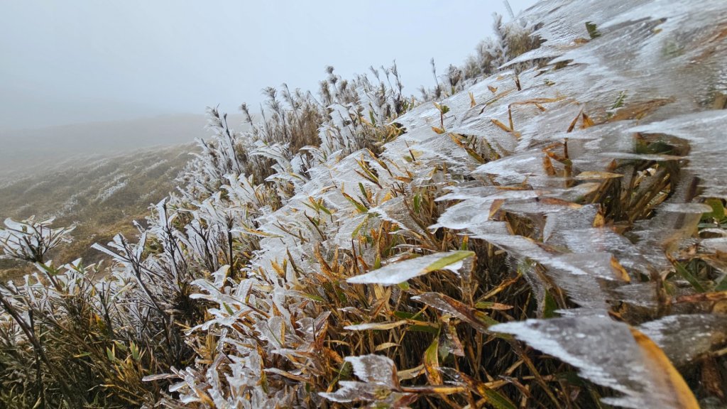 112.3.13～3.14 冰封奇萊主北_2074292