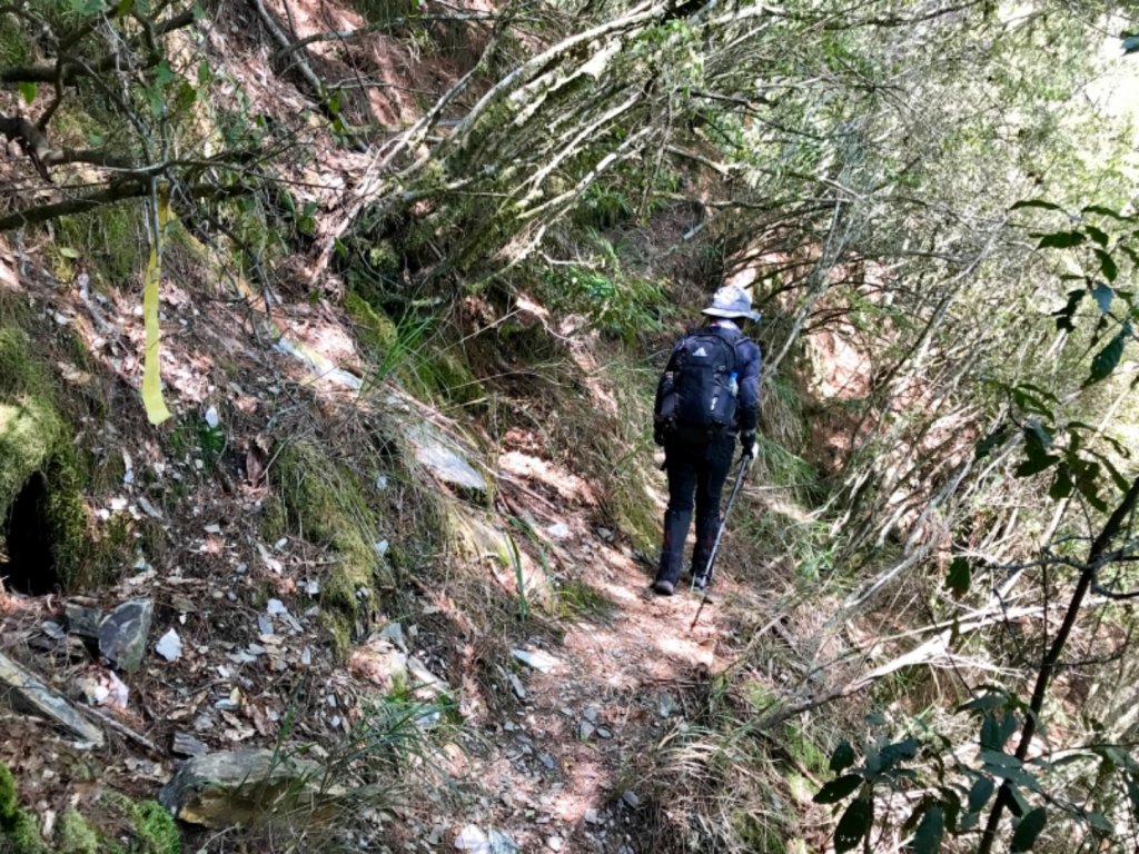 馬海濮富士山健走_572293