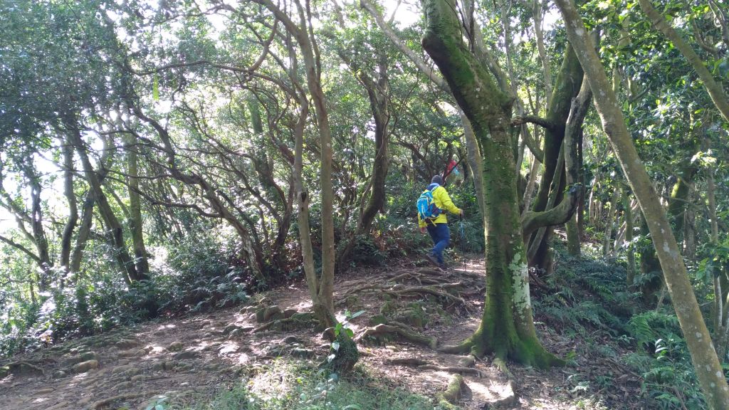 天氣晴更要出去走走!_223881