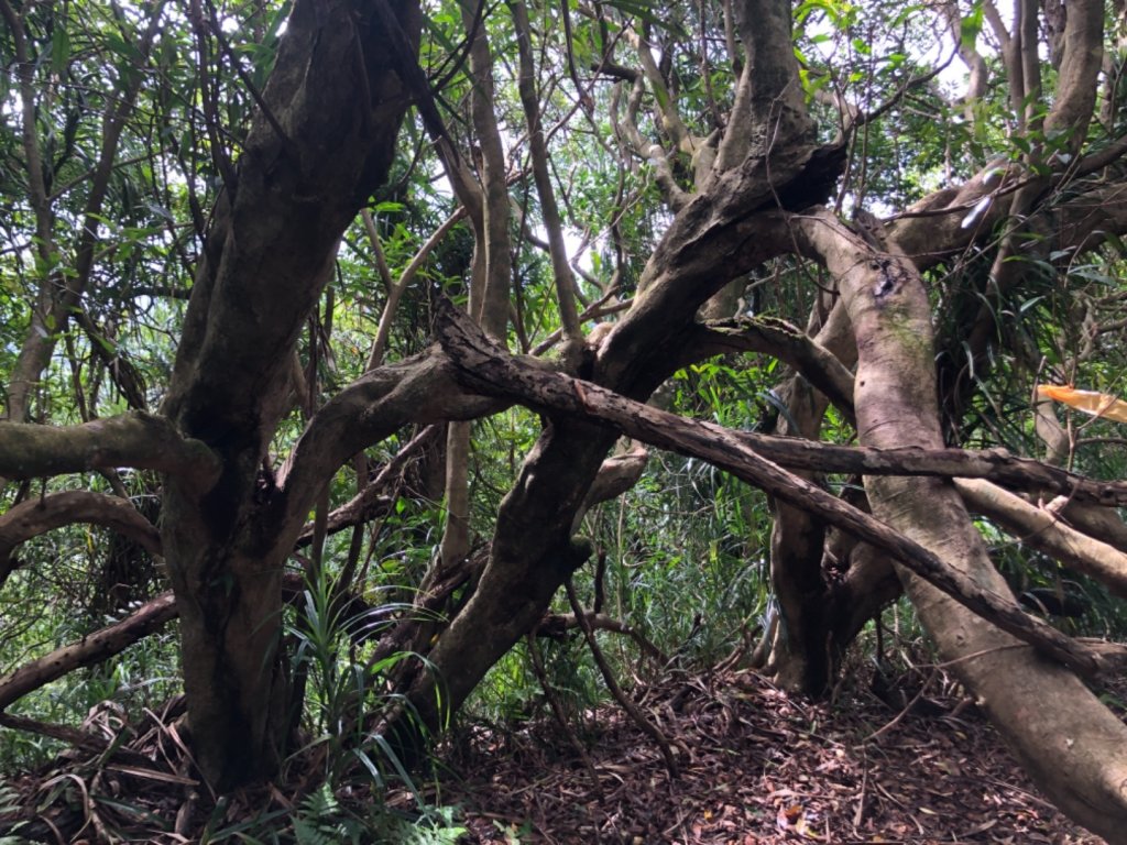 畝畝山、青林山、石古井、石硿子瀑布、石硿子古道O走_1492830