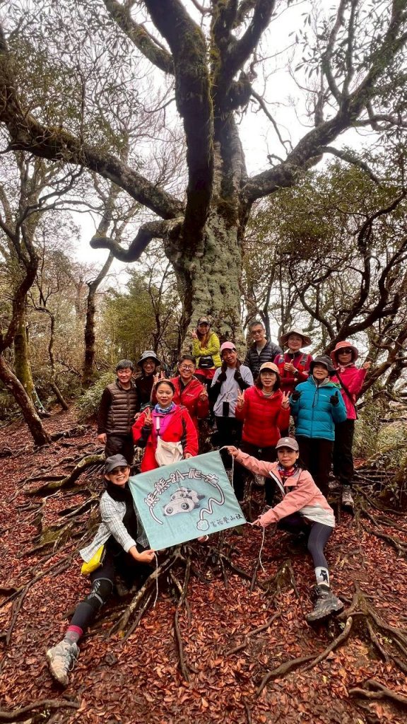 🌈12/28（日）北得拉曼神木+內鳥嘴山✨FB：熊熊趴爬走🌈_2971273