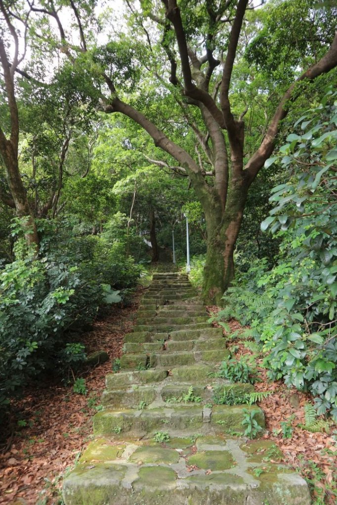 唭哩岸山 奇岩山 東華山。唭哩岸烏尖連峰步道 懸崖峭壁巨石 攀岩愛好的天堂_2175906