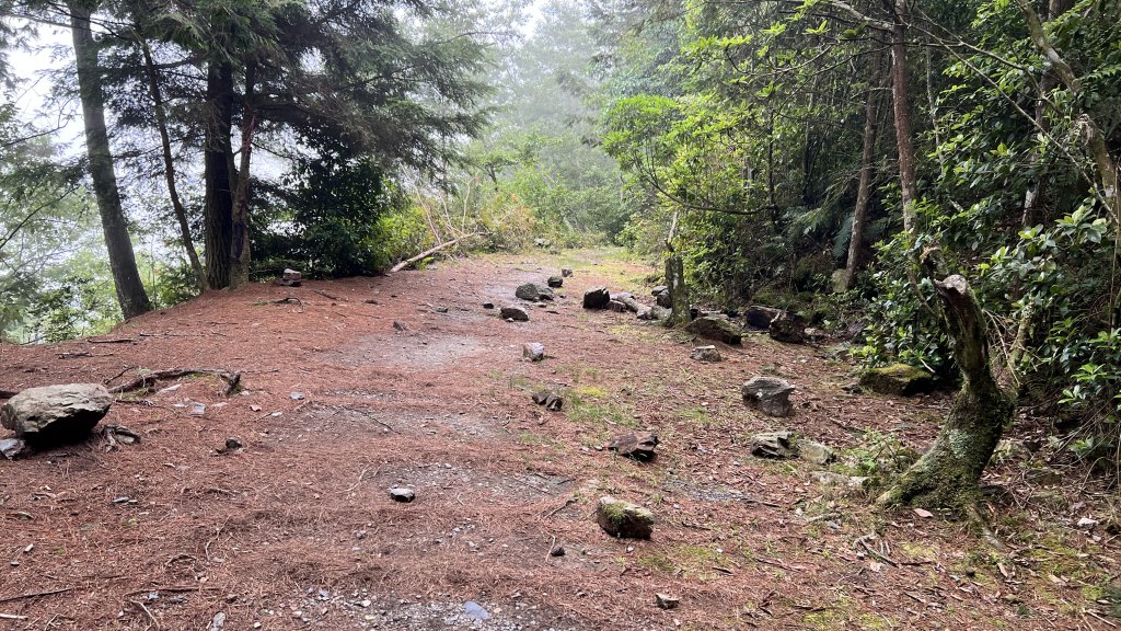 西巒大山 雙龍林道路線探索_2193451