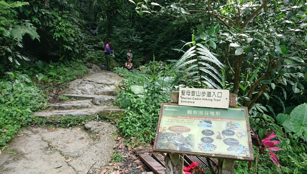 絕美抹茶山“聖母登山步道” _629012