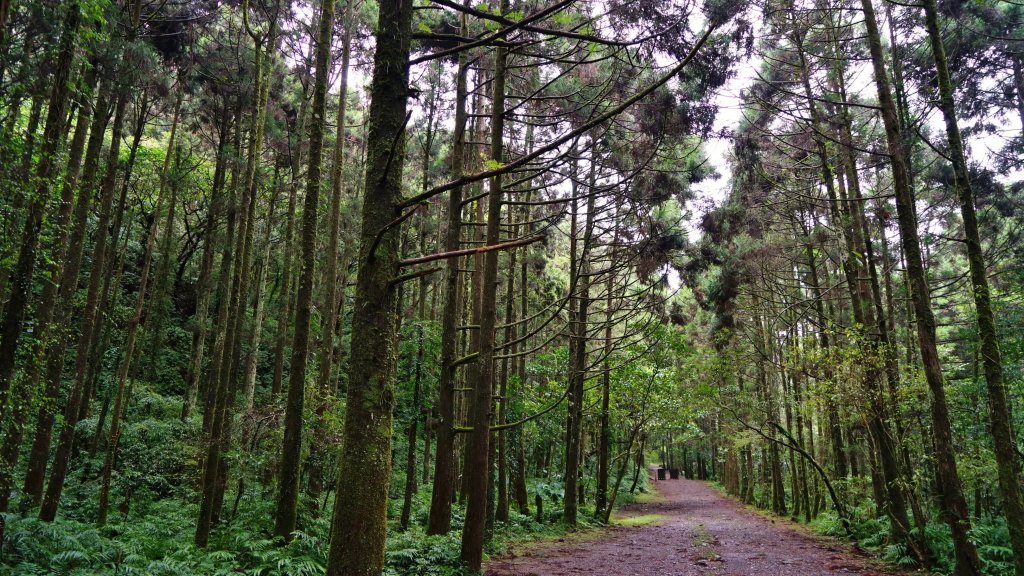 20201117坪溪古道_1495996