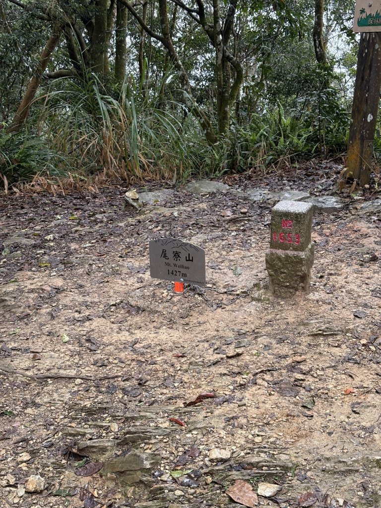 20251227尾寮山登山步道_2970539